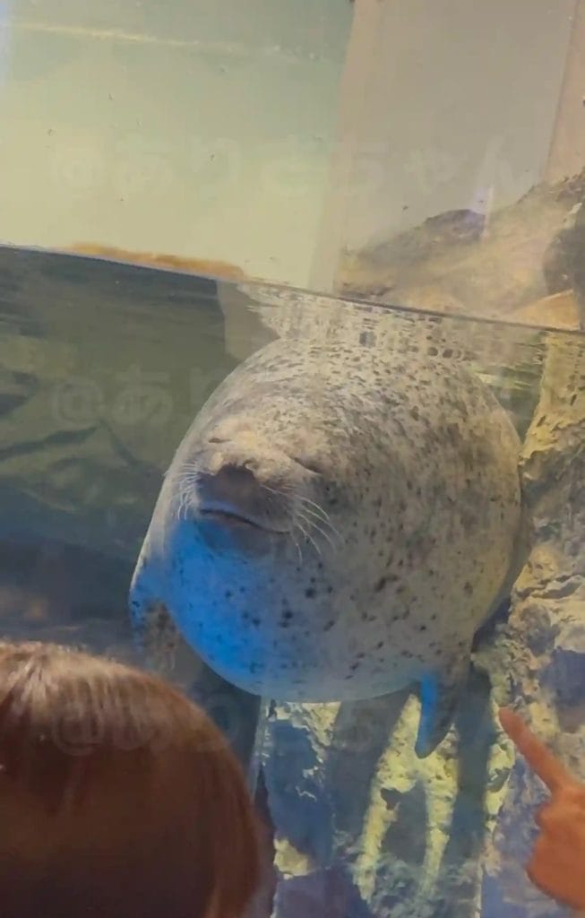 58BAD2CD-0189-488F-B291-7AB466E85039_1_105_c - 競艇お姉さんありさちゃん! 競艇予想サイトを検証し、毎月1000万以上稼ぐ競艇女子ありさちゃんの検証ブログ