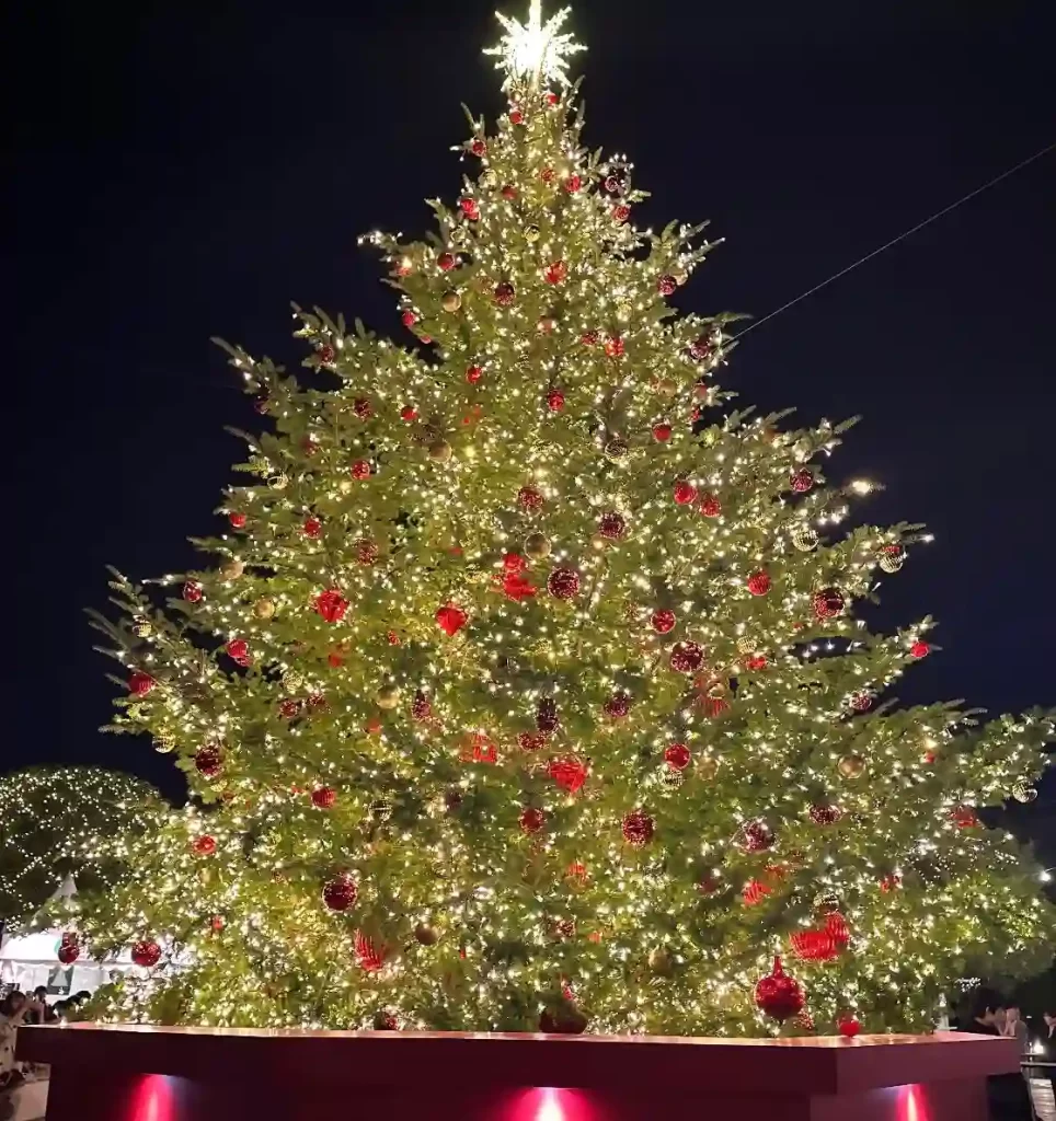 466672EB-5A34-4895-9717-0E30243A62D4 - 競艇お姉さんありさちゃん! 競艇お姉さんありさちゃんが見たいつの日かのイルミネーションのキャプション