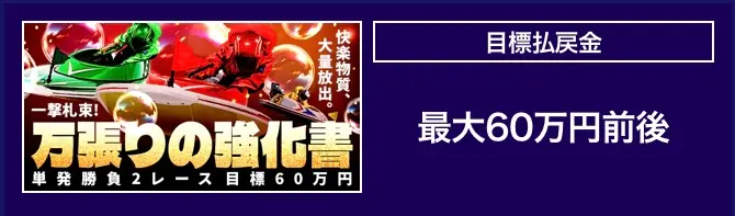 IMG_0191 - 競艇お姉さんありさちゃん! 競艇予想サイト『ボートキング』で提供されている予想プランのキャプ