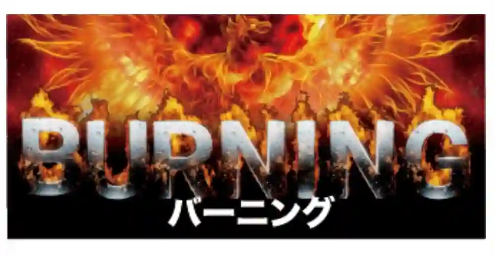 6F72C48E-F840-457E-987F-51ADD6C39010 - 競艇お姉さんありさちゃん! 競艇予想サイト「競艇BURNING(競艇バーニング)」の提供プラン「BURNING」キャプション